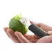 Lemon Zester