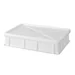 Pizza dough box 600x400