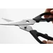 Kitchen shears