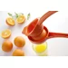 Citrus squeezer