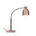 Lampe chauffante flexible