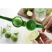 Citrus squeezer
