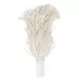 Brosses pour polisseur à verres – 2 pièces