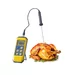 Thermometer met stiftsonde