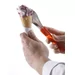 Spatule à glace avec manche en Tritan