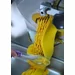 Spatule à glace avec manche en Tritan