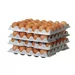 Set of 4 egg trays for HENDI OVOBOX 120