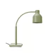 Lampe chauffante flexible