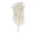 Brosses pour polisseur à verres – 2 pièces