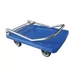 Platform trolley