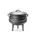 Cast iron pot