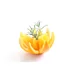 Eplucheur de citron