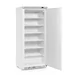 Freezing cabinet with white painted steel casing