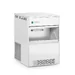 Ice flake machine
