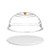 Cake dome with server