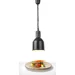 Rise and fall heat lamp, cylindrical