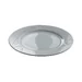 Dinner plate