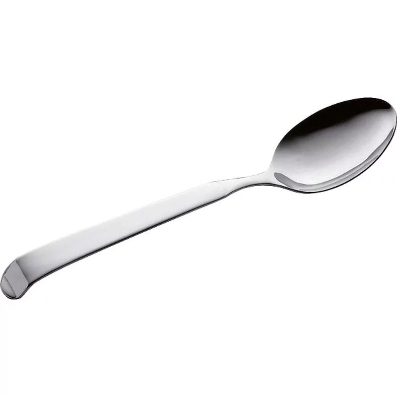 Pintinox Astra 18/10 Dienlepel L240xB50mm