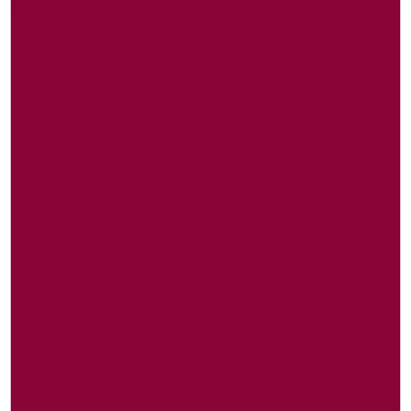 Place mats burgundi 30x40cm Duni 1000 pcs