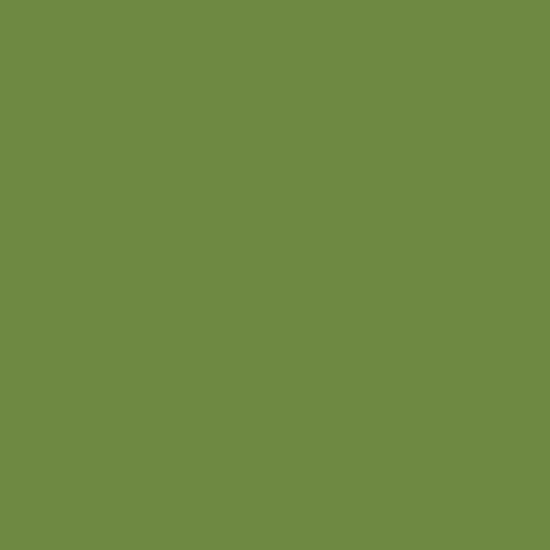 Serviettes leaf green 24x24cm 3plis 2000
