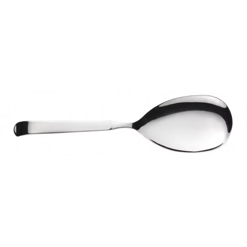 Pintinox Astra 18/10 Dienlepel L280xB75mm