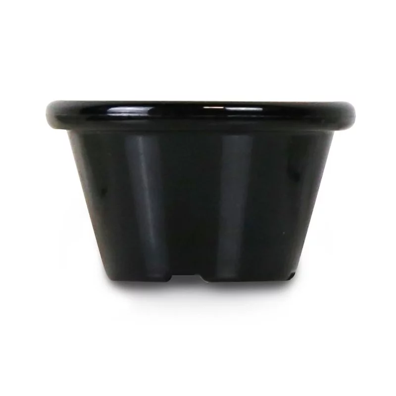 Ramekin