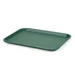 Polypropylene fast food tray, medium