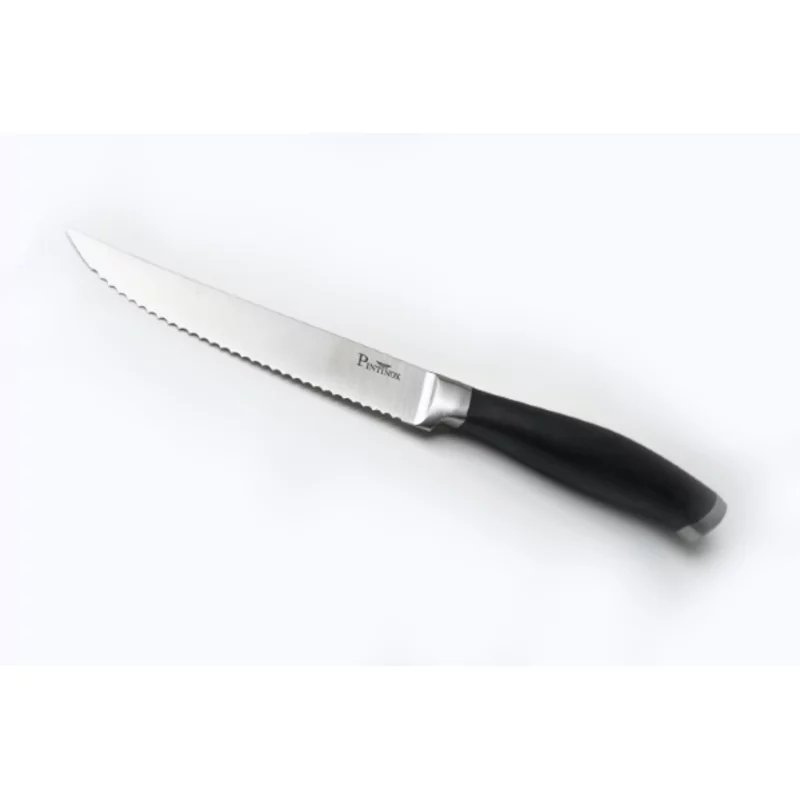 Pintinox Professional Couteau à steak L249mm