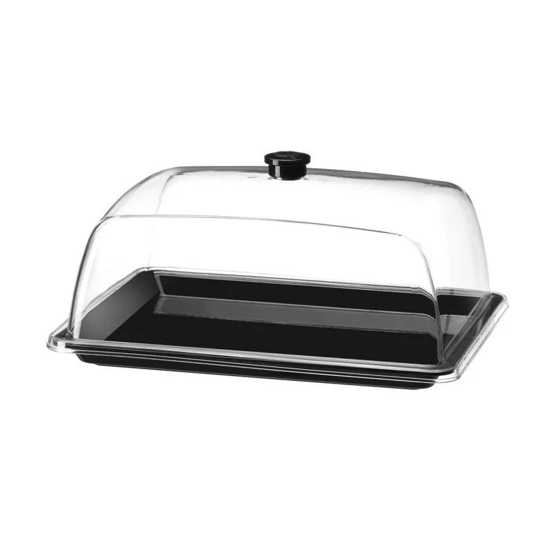 Display tray with lid, rectangular