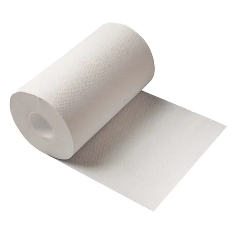 Poetsrol wit mini coreless 2 ply 60m 12r