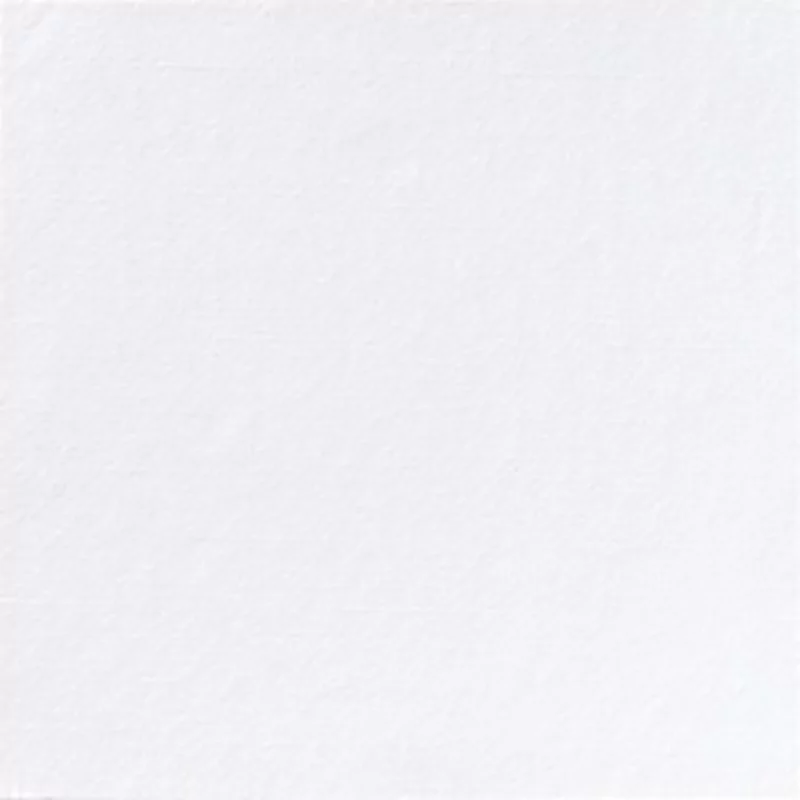 Serviettes dunis.bl.24x24cm 8x180p
