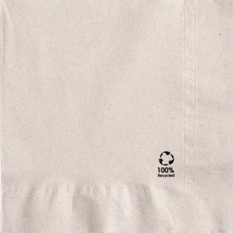 Napkins Bio 40 x 40 2 ply 1600 pcs