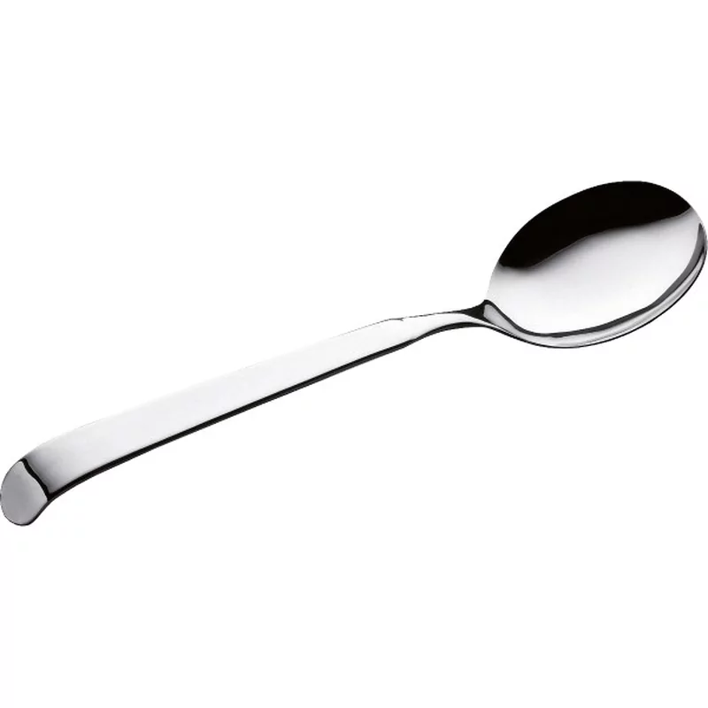 Pintinox Astra 18/10 Dienlepel L280xB70mm
