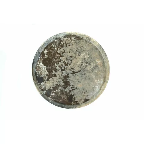 Gural Forest assiette D210mm