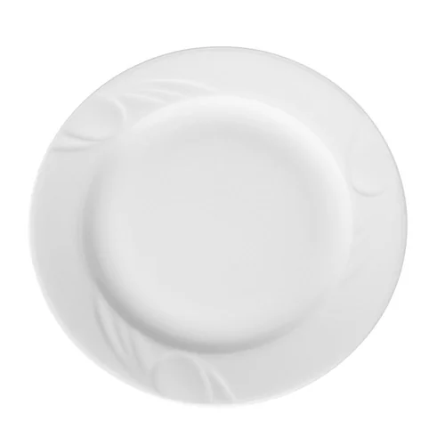 Dinner plate